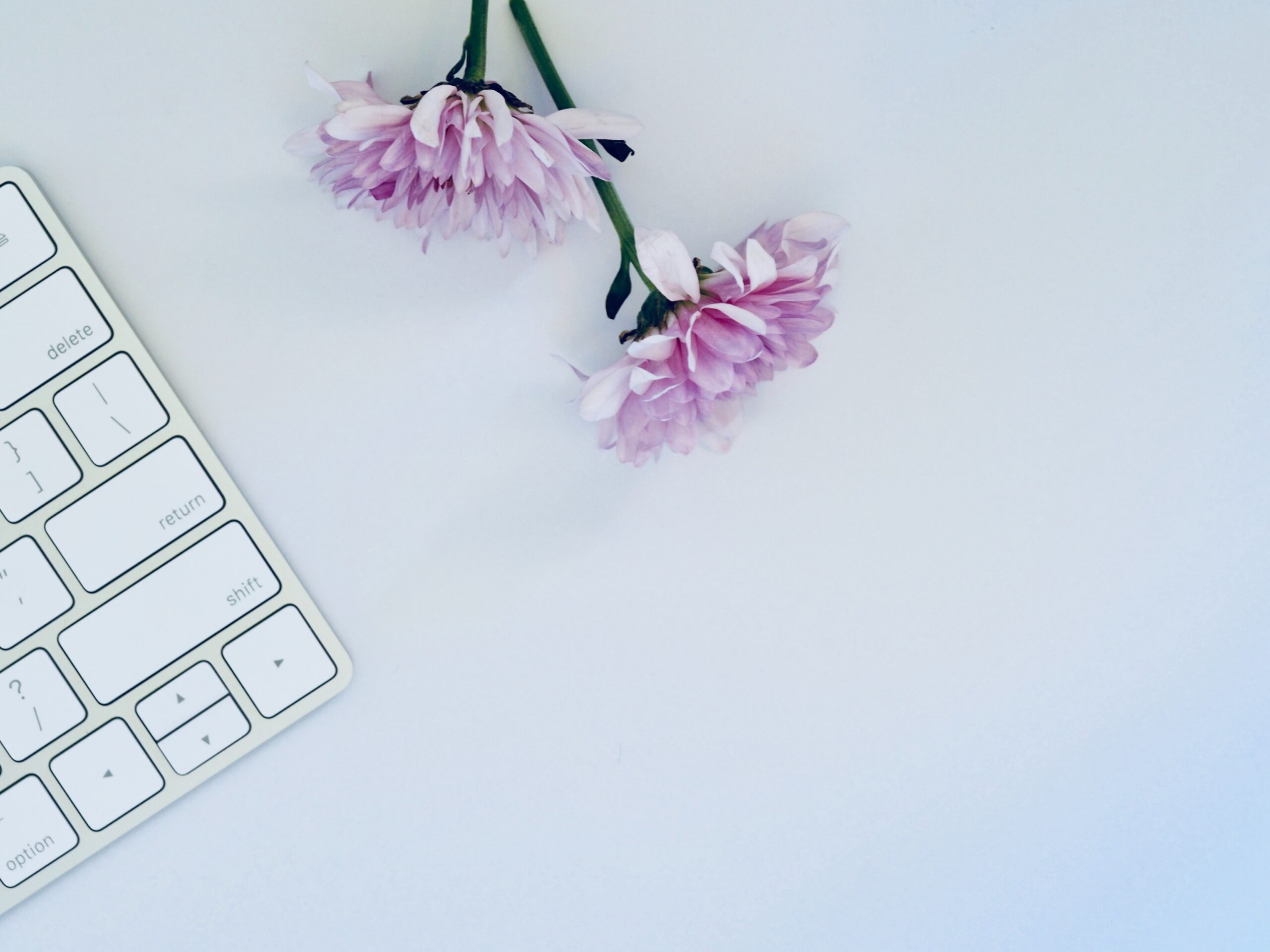 How to create a fillable PDF Document to help increase sales in your ...